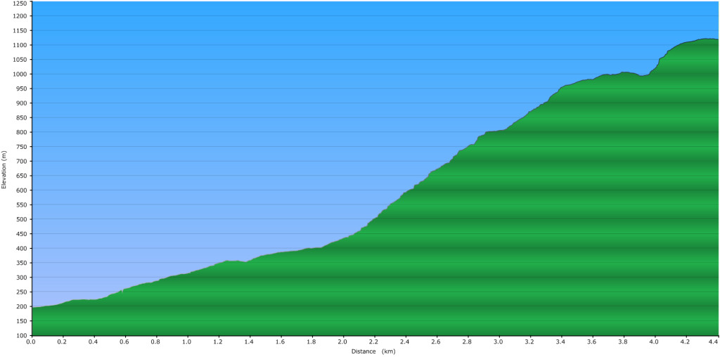 Elevation Profile of Evans Peak Trail