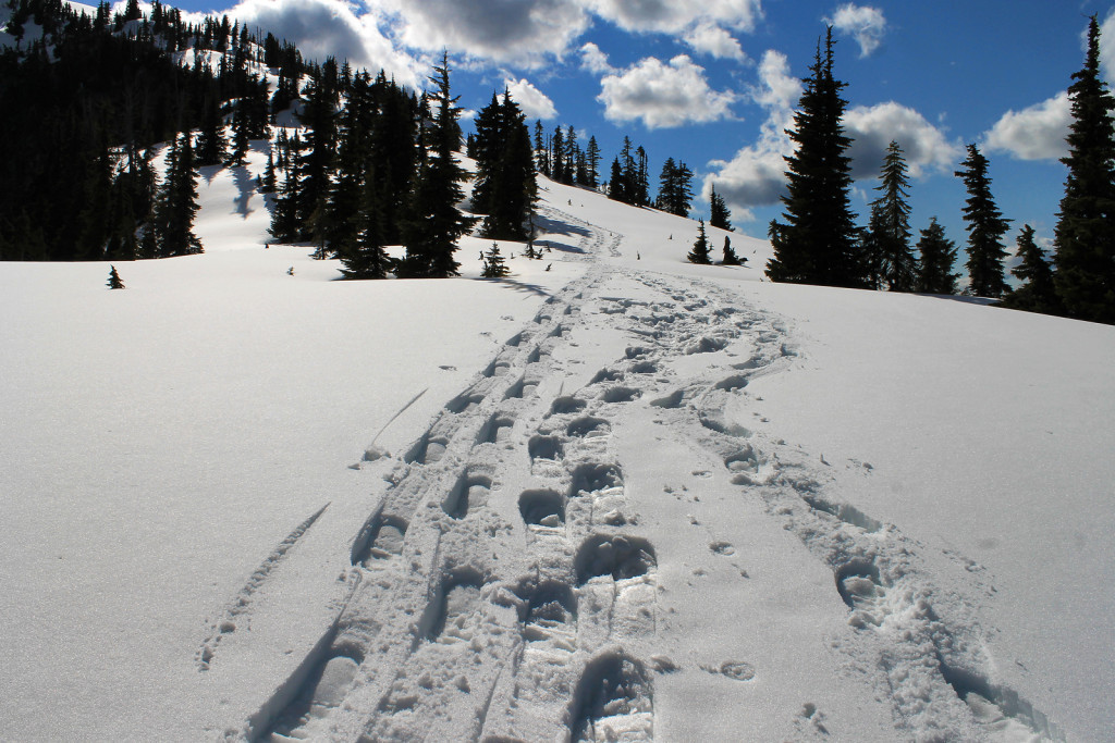 Our Snowshoe Tracks Coming Down Iago Peak