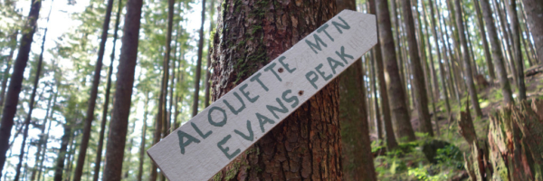 Evans Peak/Alouette Mountain Junction