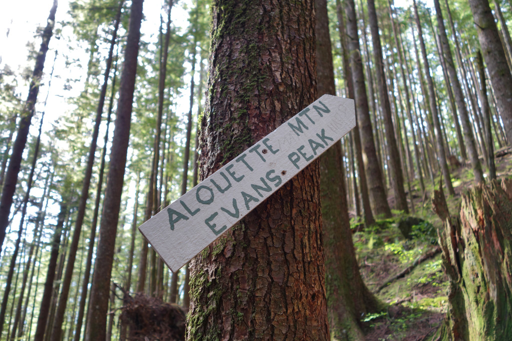 Evans Peak/Alouette Mountain Junction