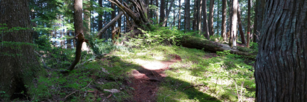 Evans Peak Trail First Plateau