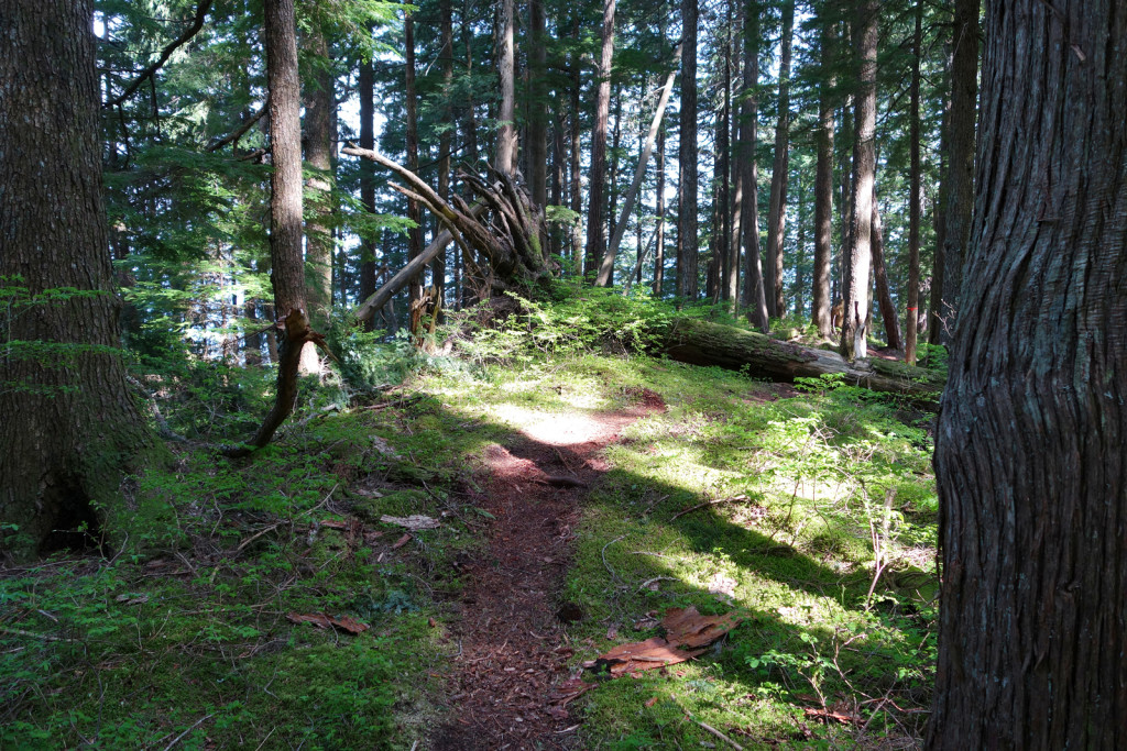 Evans Peak Trail First Plateau