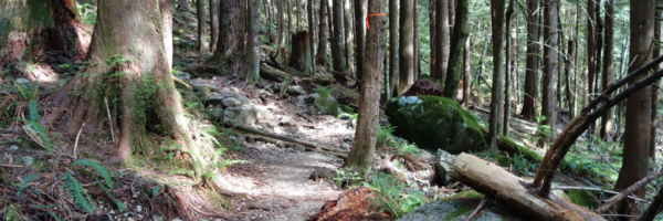 First Steep Section Along the Evans Peak Trail