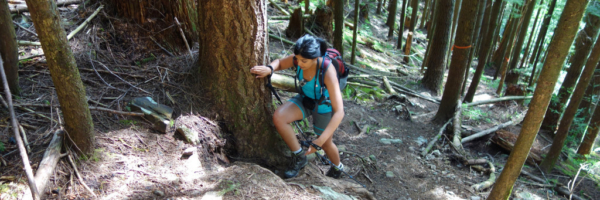 First Steep Section Along the Evans Peak Trail