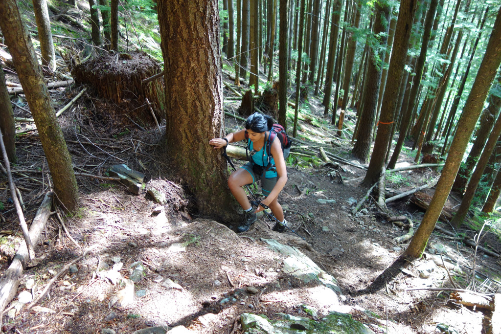 First Steep Section Along the Evans Peak Trail