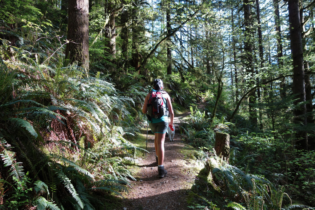 Walking Skeena Along the Evans Peak Trail