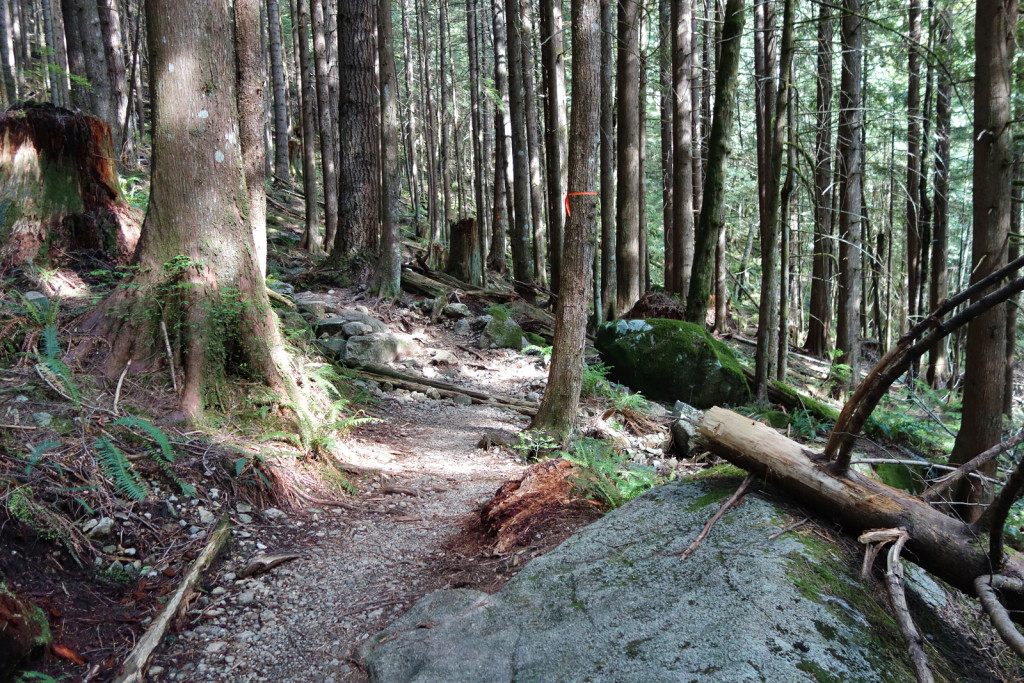 First Steep Section Along the Evans Peak Trail