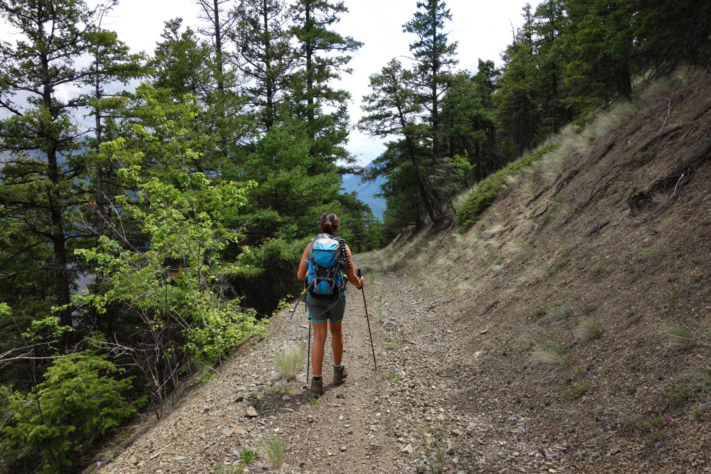 Third Switchback Along the Fire Lookout Trail West Pavilion