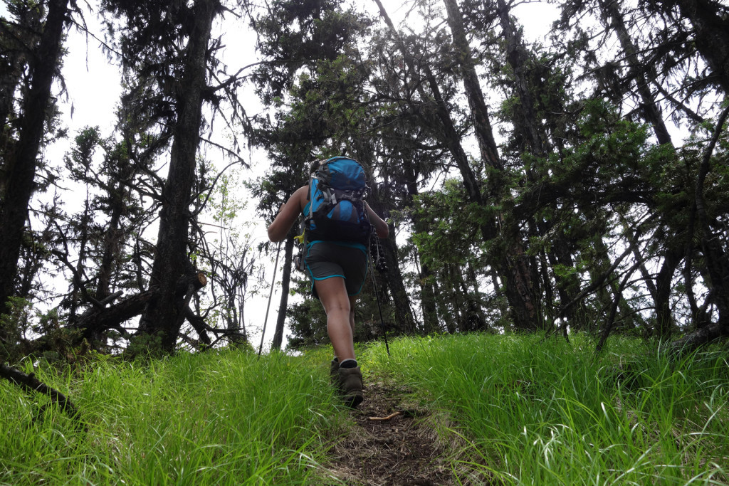 First Saddle Along the Fire Lookout Trail west pavilion