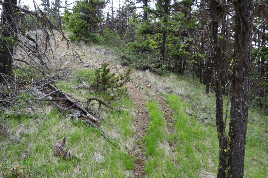 First Saddle along the Fire Lookout Trail West Pavilion