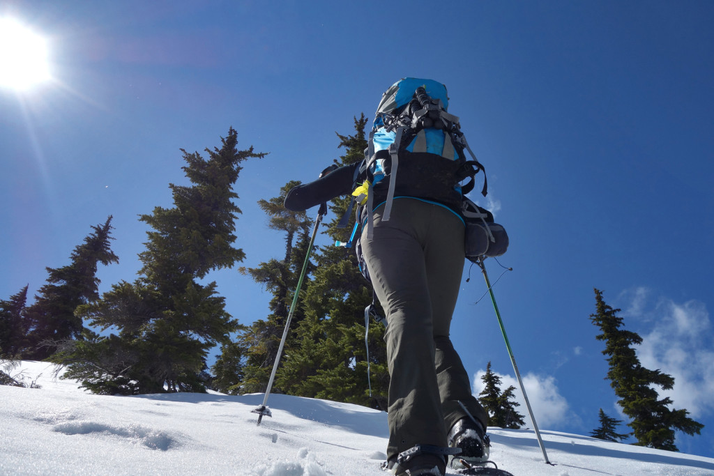 Snowshoeing the Ridge to Iago Peak