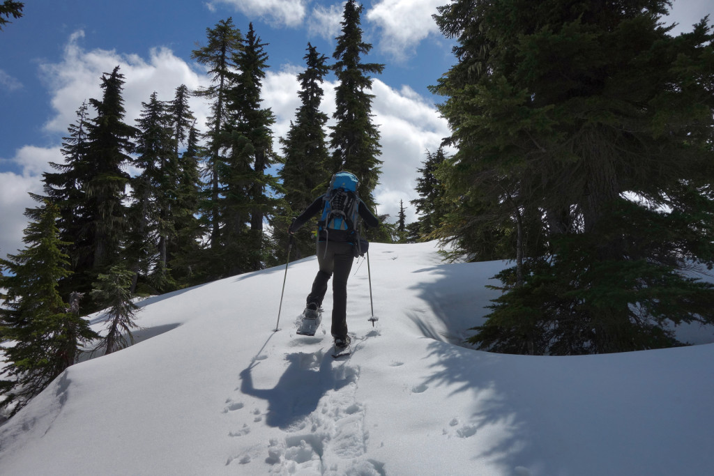 Snowshoeing the Ridge to Iago Peak