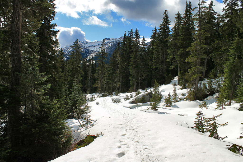 Snow Conditions on the road to Iago Peak