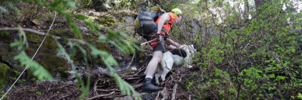 Skeena Scrambling up the First Steep Section on the Evans Peak Trail
