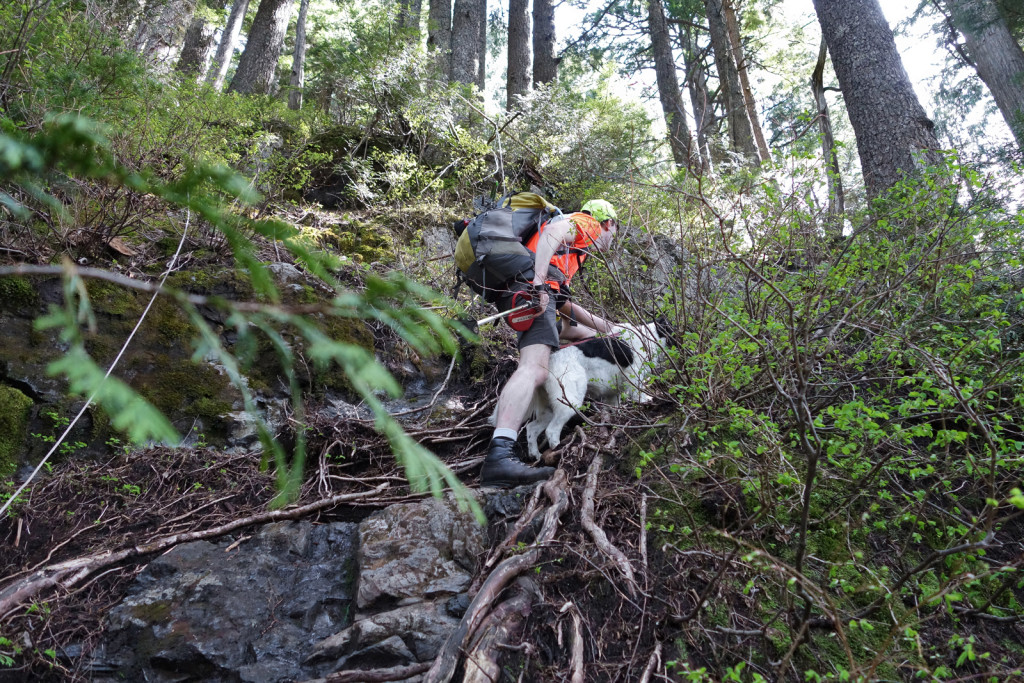 Skeena Scrambling up the First Steep Section on the Evans Peak Trail