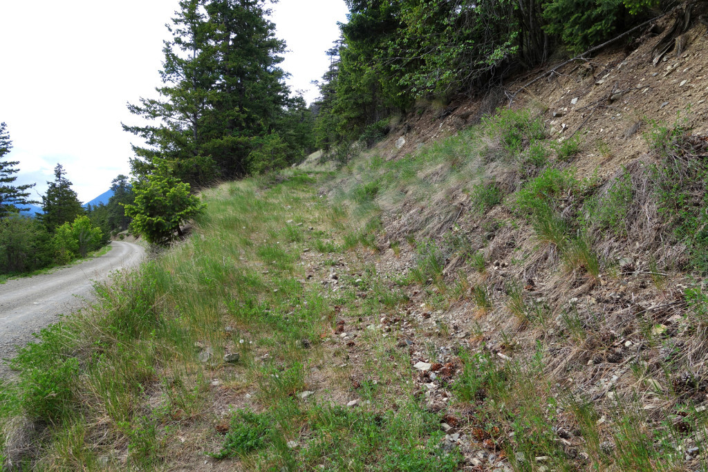 Start of the Fire Lookout Trail west pavilion