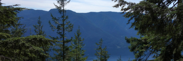Treed View of Alouette Lake on Evans Peak Trail
