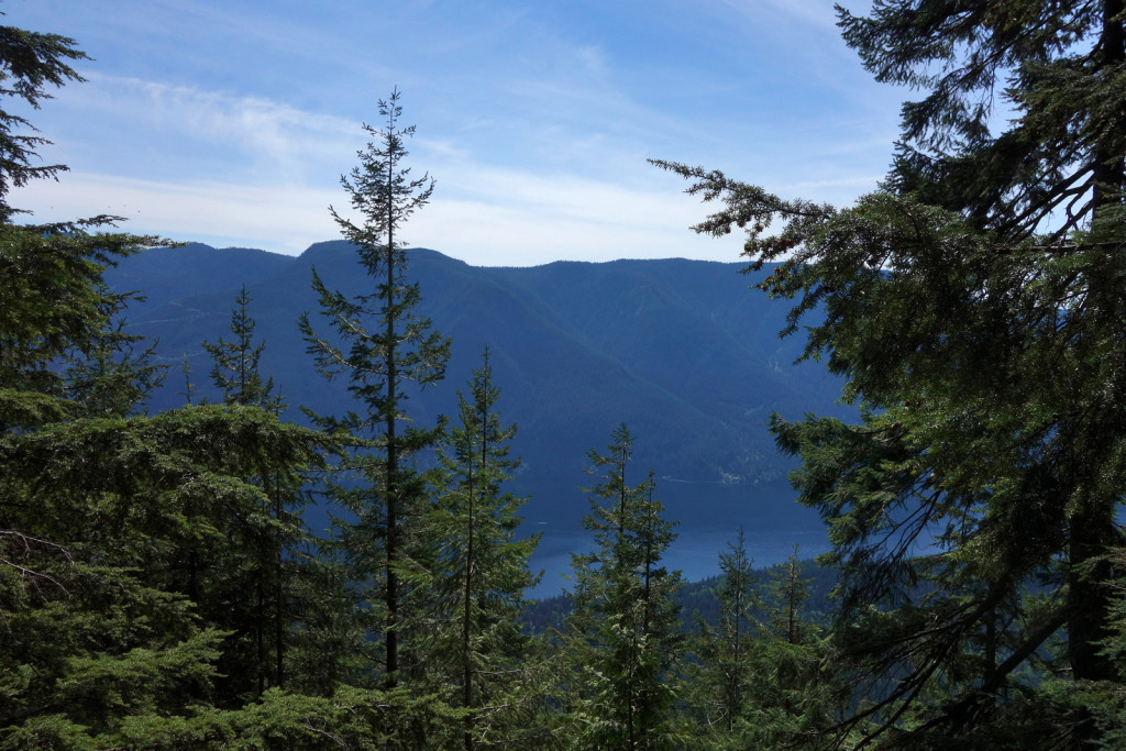 Treed View of Alouette Lake on Evans Peak Trail