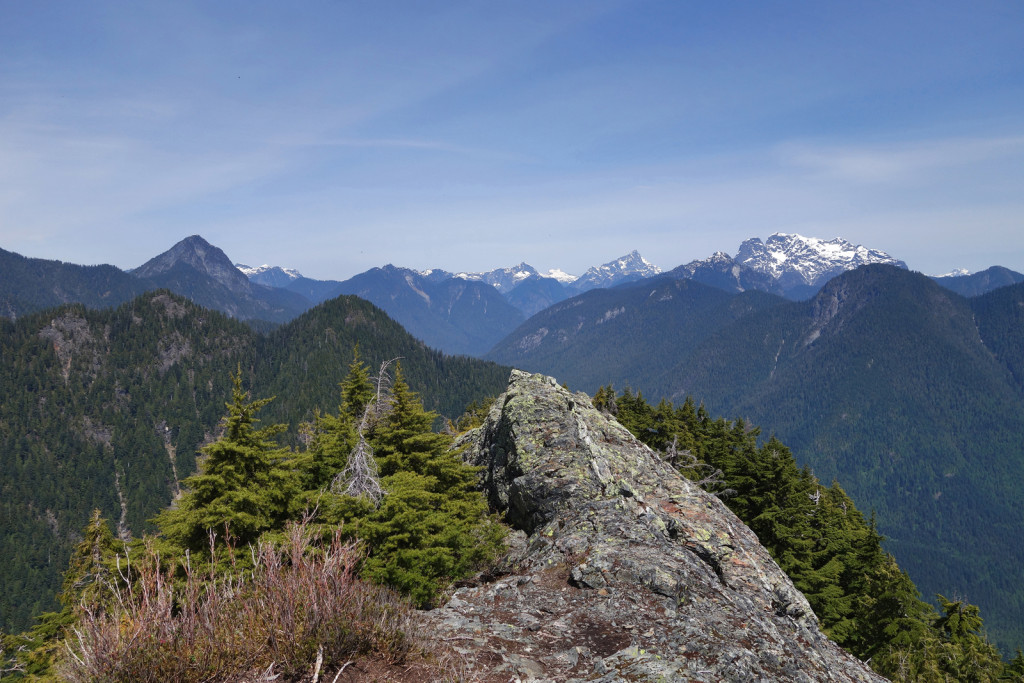 View of Robie Reid, Judge Howay, and the Defendant in the Background from evans peak