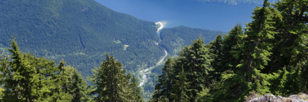 View of Gold Creek and Alouette Lake from Evans Peak
