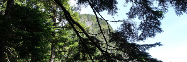 View of Evans Peak