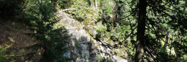 View of Stream Canyon