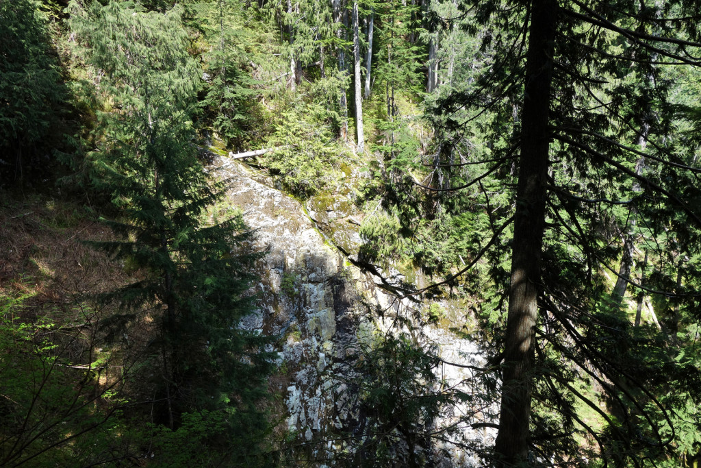 View of Stream Canyon