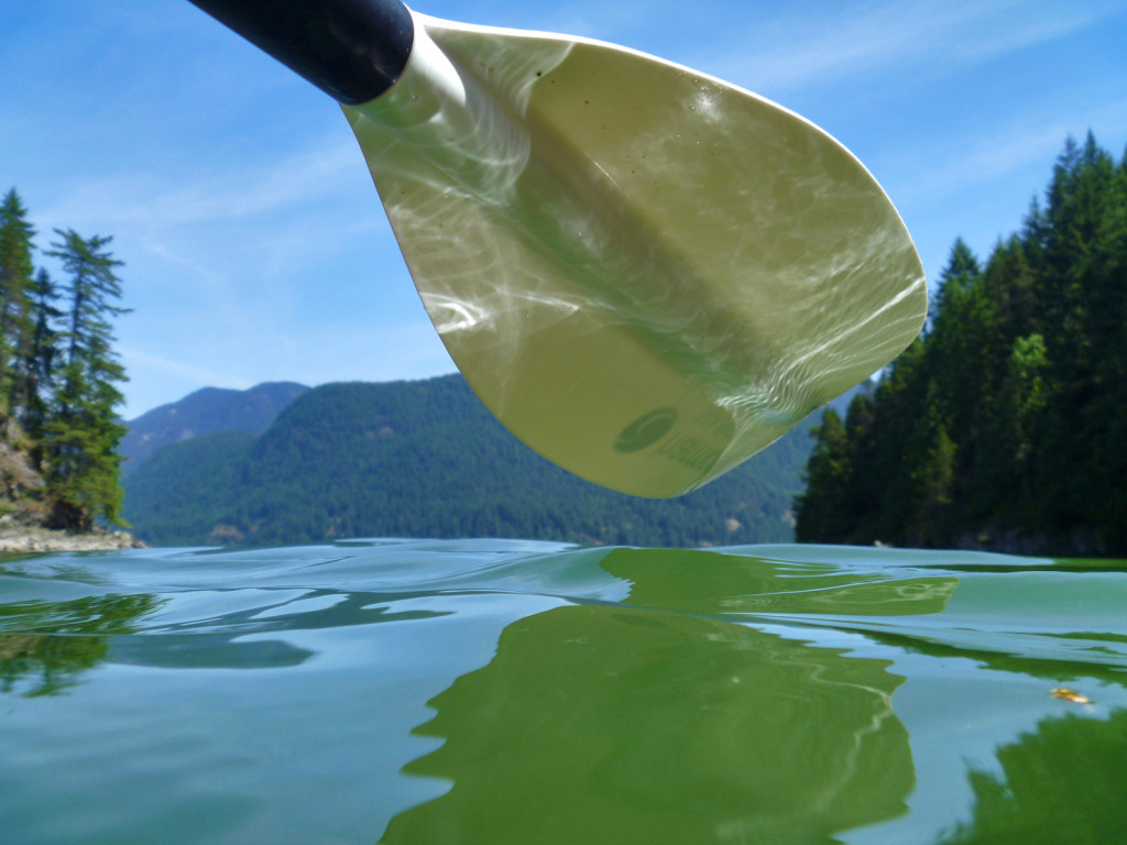 Kayaking the Indian Arm