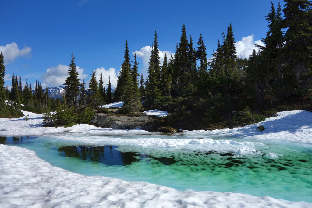 View of Semaphore Lakes railroad group hurley fsr