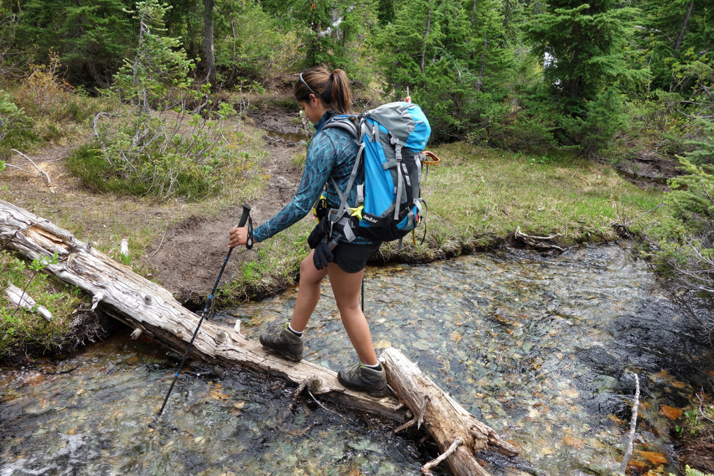 Log Crossing Near the Start of the Trail semaphore lakes trail hurley fsr railroad group