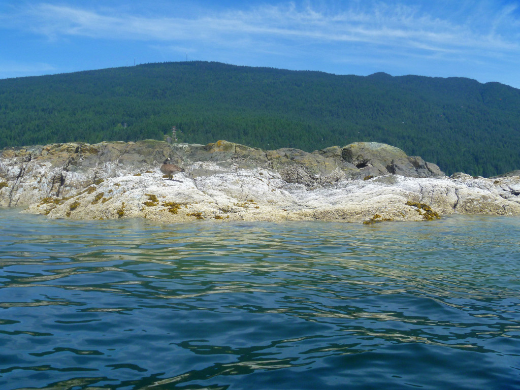 View Near Jug Island Indian Arm