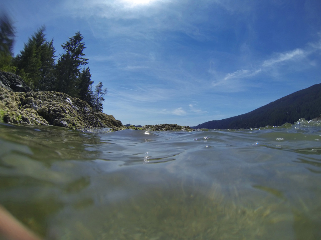 View Along the Indian Arm kayak