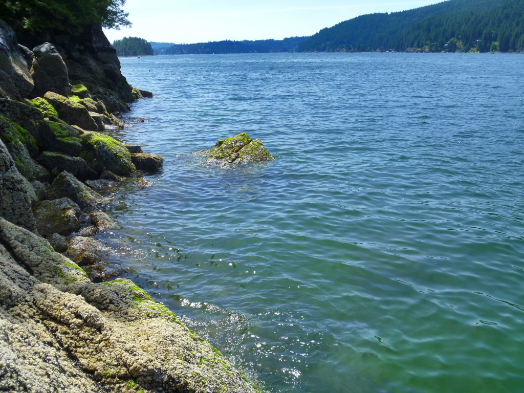 View from the Big Twin Indian Arm Kayak