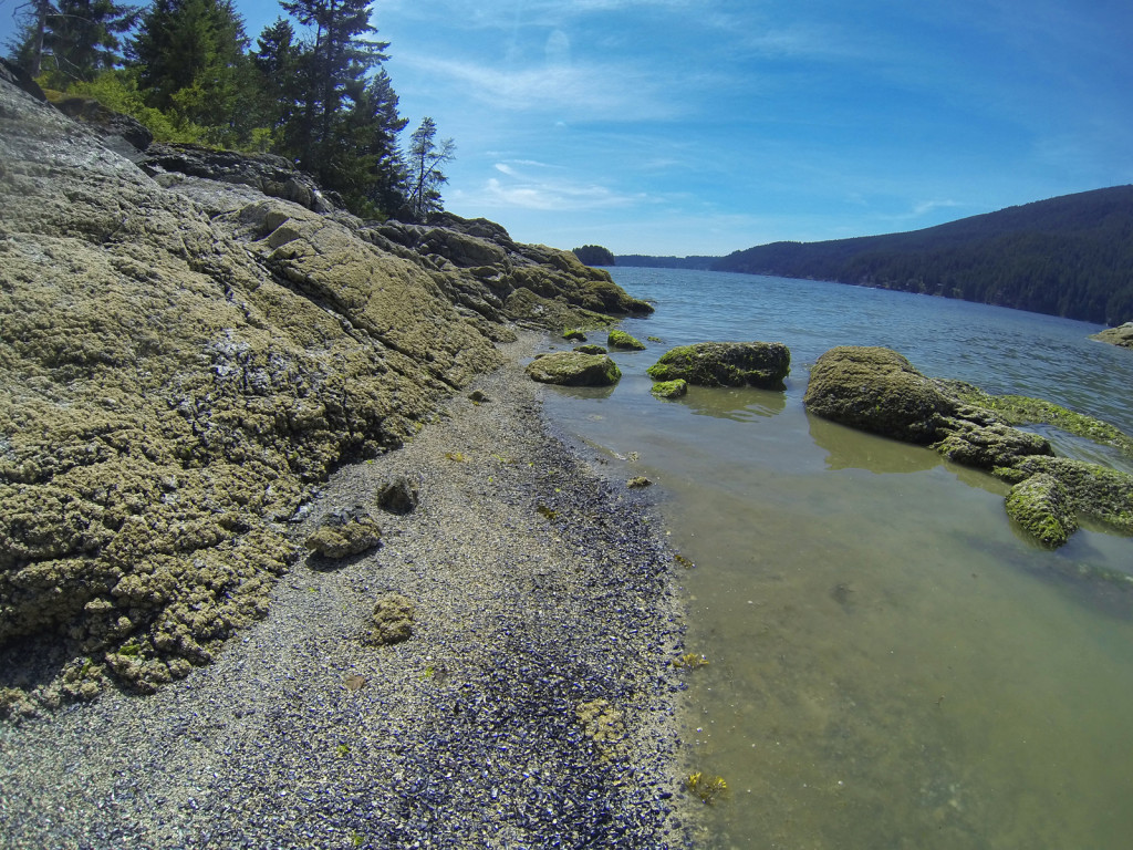 Twin Islands, Indian Arm Kayak