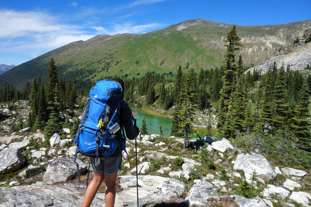 Approaching the Lower Kidney Lake Blowdown FSR Duffey HIghway