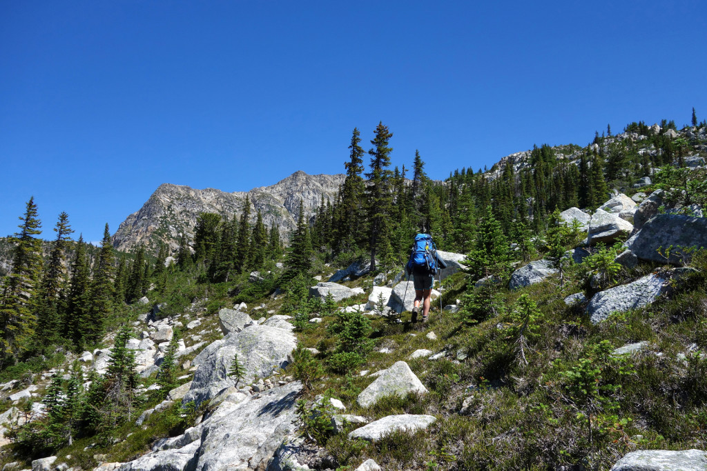 Leaving our Bushwhack and Heading Towards Kidney Lakes Blowdown FSR Duffey Highway