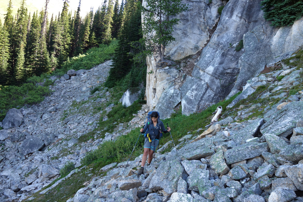 Bushwhacking Near Blowdown Lake Duffey highway