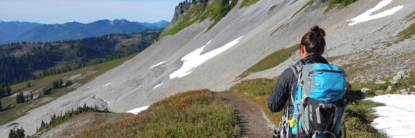 Descending the Saddle garibaldi provincial park elfin lakes