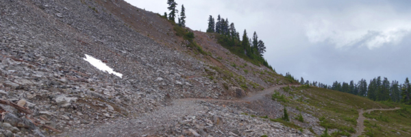 View Along Paul Ridge Garibaldi Provincial Park