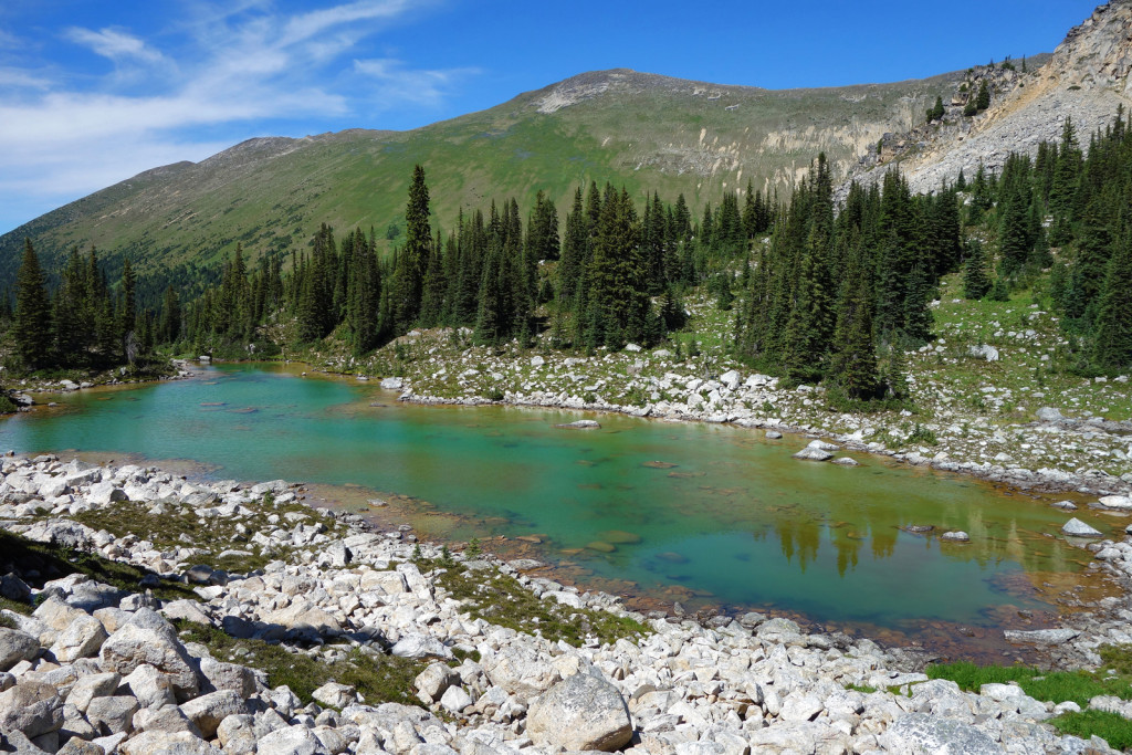 View of Kidney Lake Blowdown FSR Duffey Highway