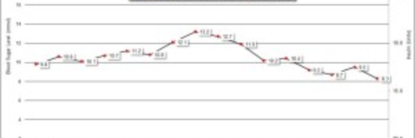 Little Diamond Head BG Chart