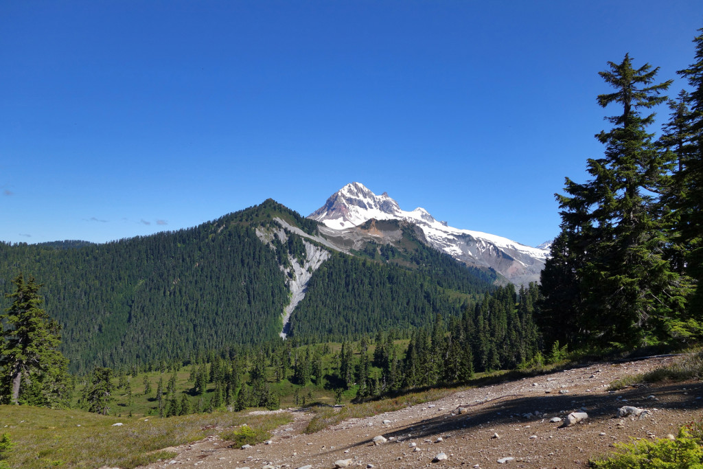 View of The Saddle, Little Diamond Head, and Atwell Peak garibaldi provincial park