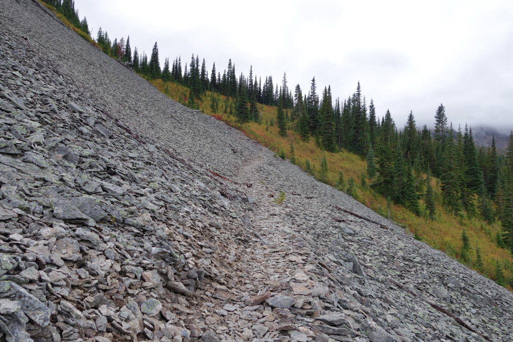 Illal Meadows Trail Scree Slope Coquihalla Highway