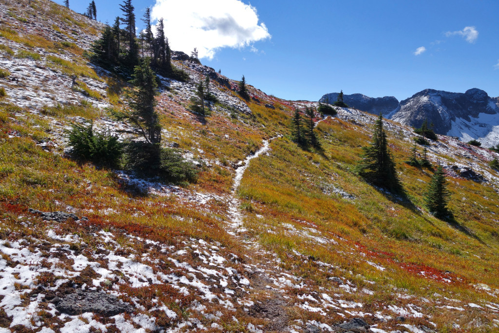 Looking Back Along the Illal Peak Trail Coquihalla Highway