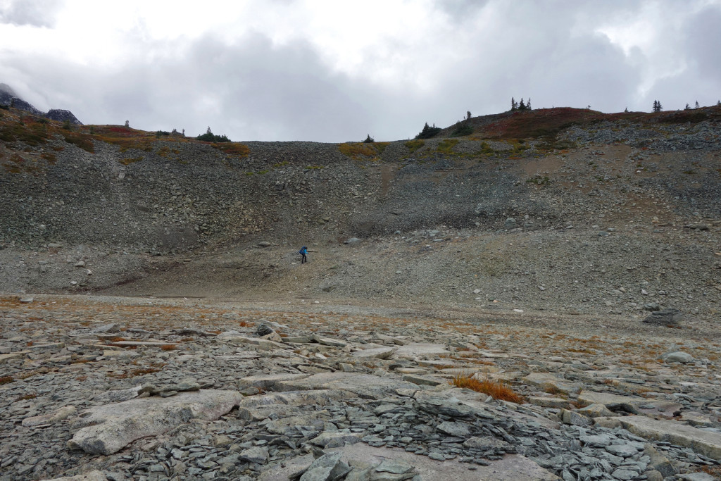 Slope to Upper Illal Meadows Coquihalla Highway