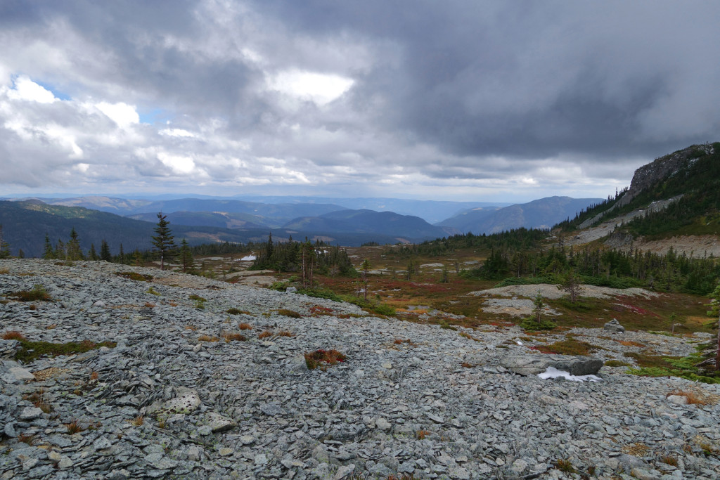 View of Middle Illal Meadows Coquihalla Highway