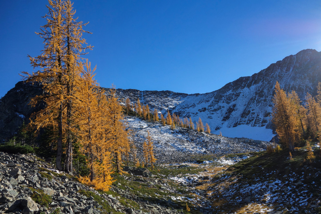 A Look Back at the Ridge Frosty Mountain Manning Park Golden Larches