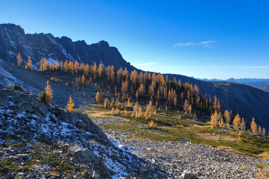 Ascending Frosty Mountain Golden Larches Manning Park BC