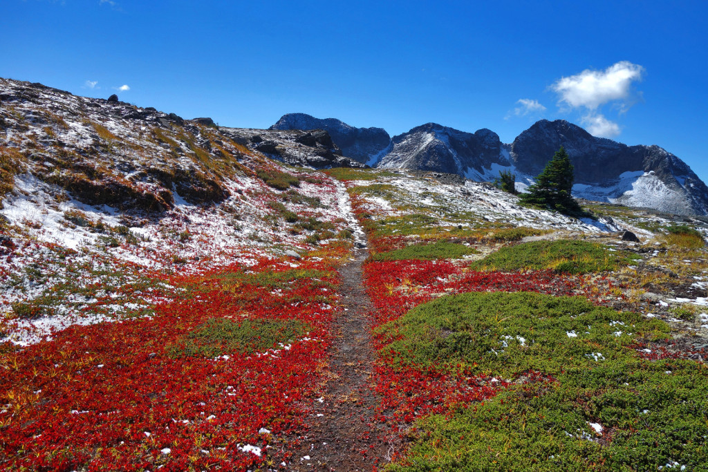 Fall Colours Along Illal Peak Coquihalla Highway Illal Meadows