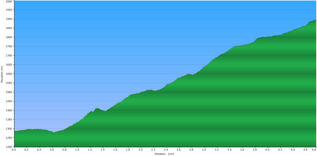 Illal Meadows – Elevation Profile
